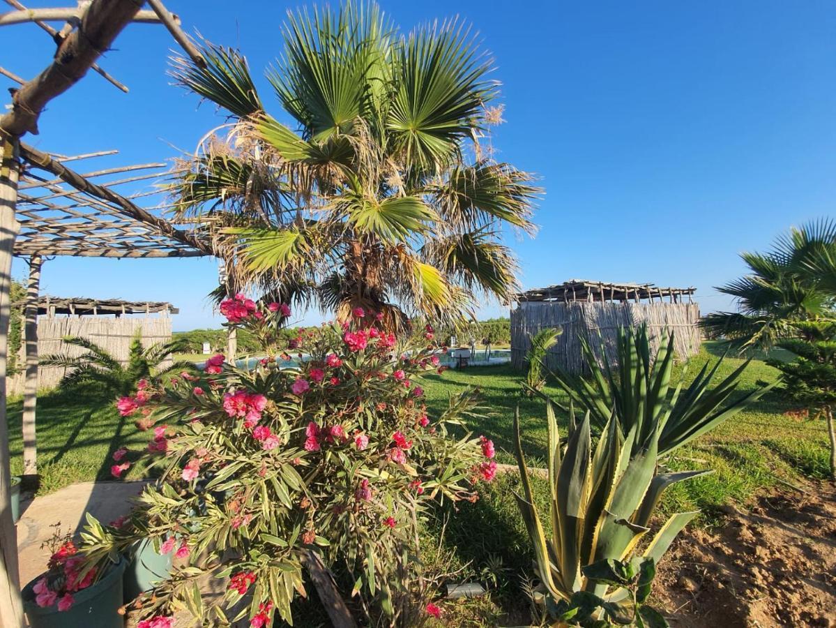 Diar Maamoura Daroufa Hotel El Maamoura Exterior photo